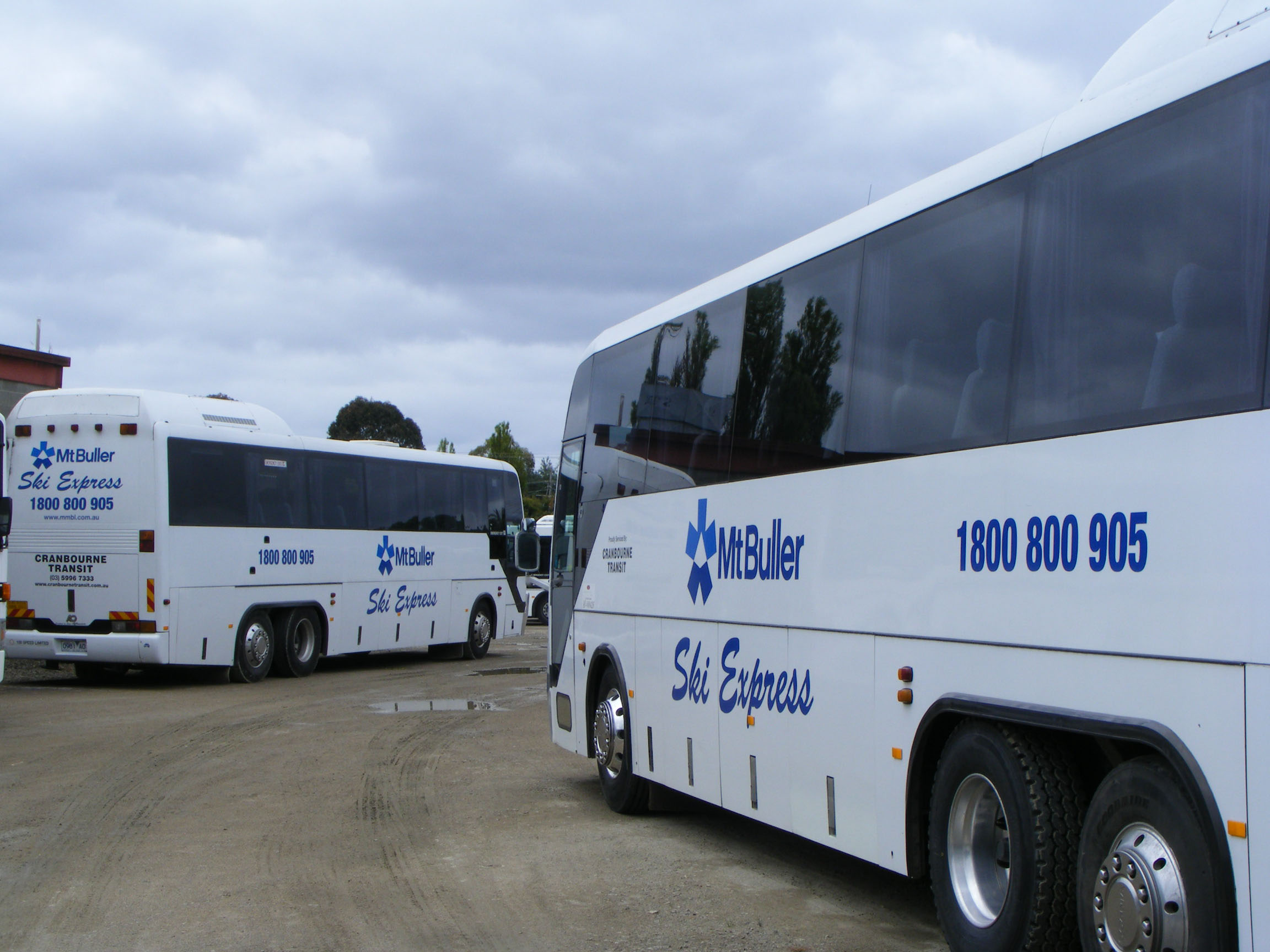 Mt Buller Buses Melbourne to Mt Buller buses Mansfield to Mt Buller buses